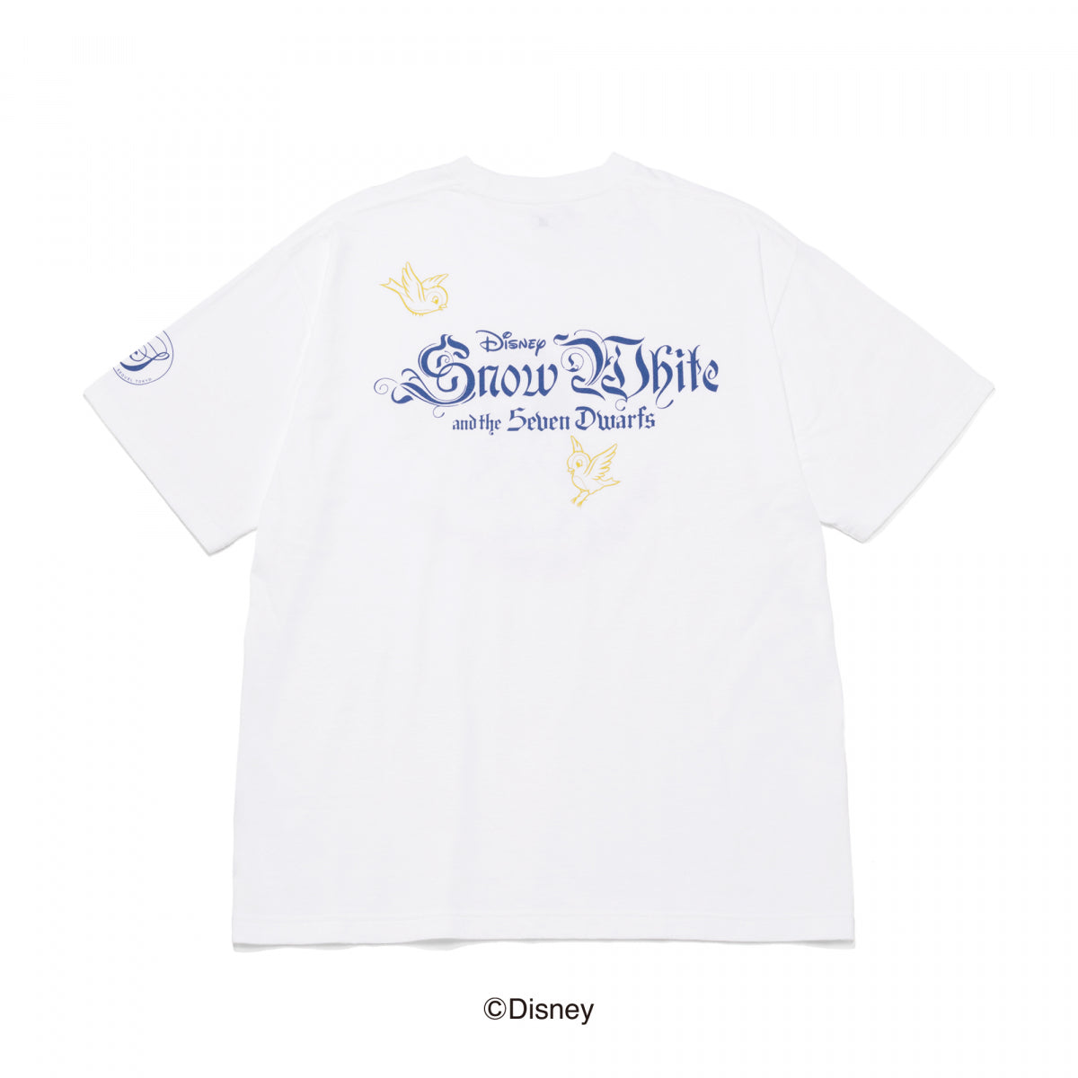 SQ-24AW-SWST-01